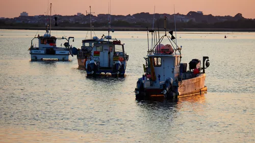 This landscape photograph shows several fishing boats moored on calm water at sunset in Christchurch, Dorset, United Kingdom. The scene is set in late spring, as indicated by the lush background and warm evening light reflecting off the water. The main subject of the image is the transport provided by these fishing boats, which are spaced out in the foreground and middle distance. In the background, the silhouette of Christchurch and its buildings is visible on the horizon, providing a sense of place. The boats are equipped with gear that is typical for fishing activities in Dorset, and their presence highlights the local maritime transport and industry. The overall atmosphere suggests a tranquil evening by the water, with the sunset casting a soft glow over the boats and the surrounding area.
